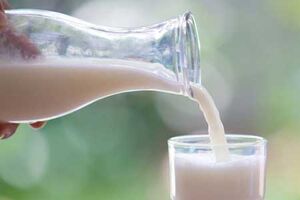 خطر سرطان برای مردان با مصرف زیاد شیر