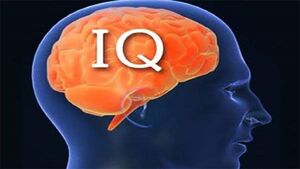 ۱۳ پیشنهاد برای افزایش IQ در سنین بالا