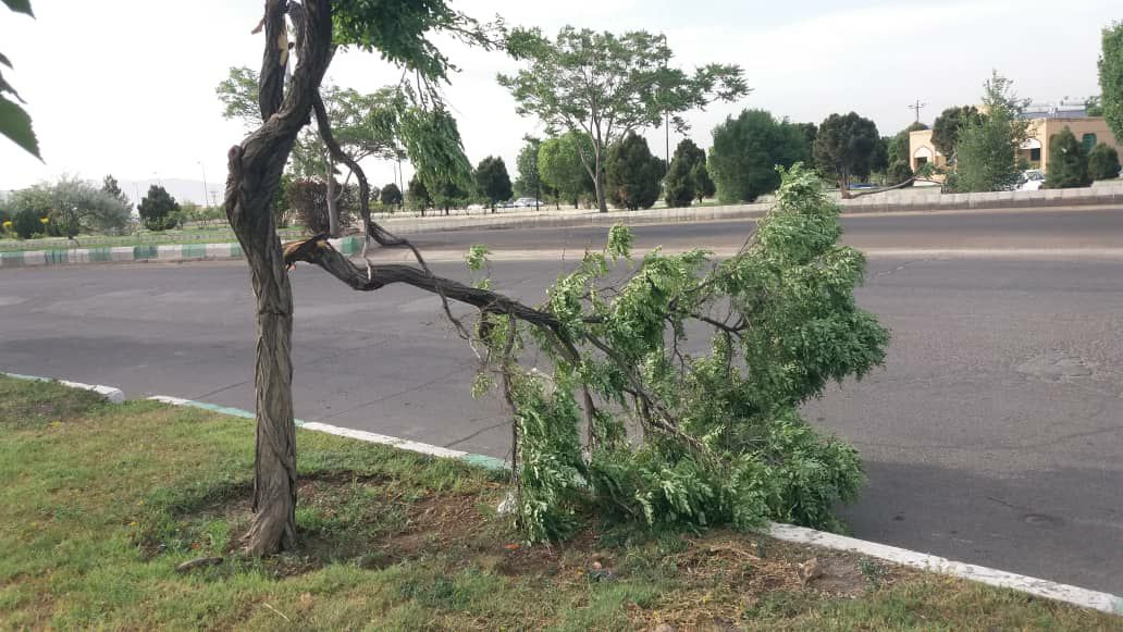 وزش باد شدید در راه تبریز