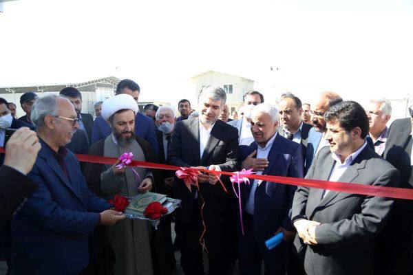 واحد پرورش گوسفند در شهرستان شبستر توسط وزیر جهاد کشاورزی افتتاح شد 