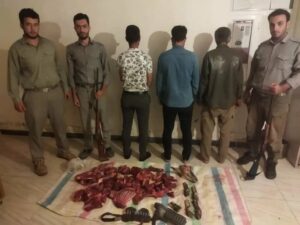 شکارچیان کل وحشی در پارک ملی کنتال جلفا دستگیر شدند