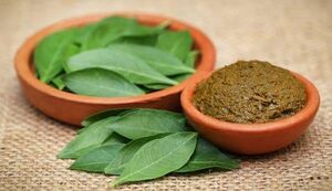 گیاهی که معده را ضدعفونی می کند