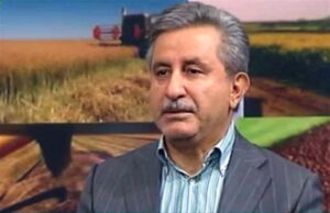 نقش دیمزارها در تغذیه با طرح «جهش تولید» برجسته شد