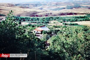 طبیعت بکر پارک جنگلی فندقلو