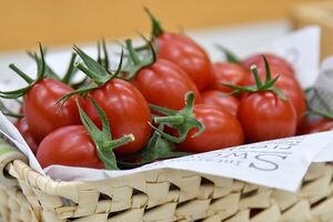 خوردن گوجه فرنگی باعث رفع خستگی می‌شود؟