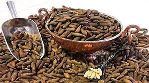 چلغوز چیست؟