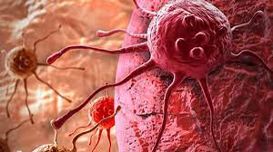 مراقب این بیماری وحشی باشید