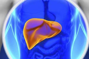 خواص کدو تنبل برای کبد