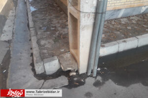 بررسی تبریزبیدار از یک مطالبه مردمی / جا خوش کردن تیر چراغ برق در داخل جوی