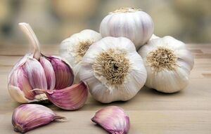 فواید خوردن شش حبه سیر در طول روز