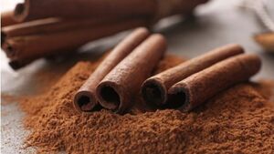 خواص دارویی دارچین