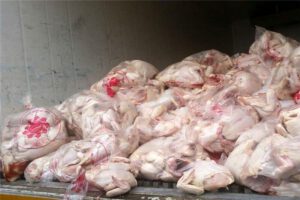 ۴۰ تن مواد گوشتی تاریخ گذشته از یک واحد در تبریز کشف شد