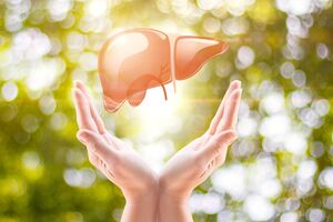 ۵ خوراکی کبد پسند