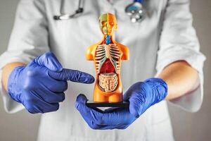 مضرات درست نجویدن غذا