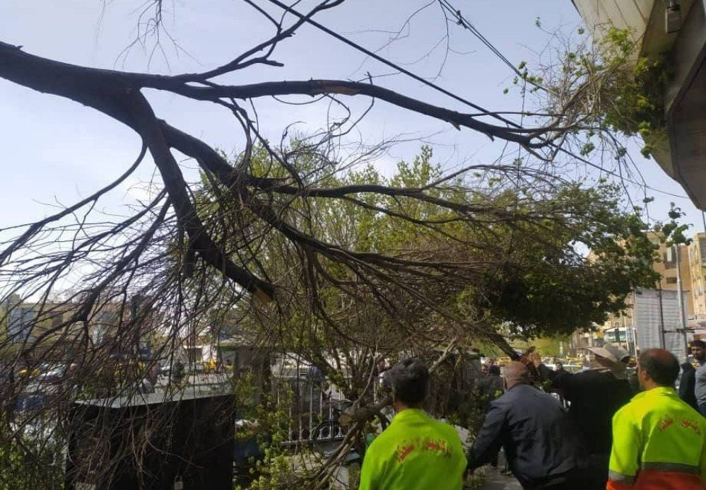 تندباد مهمان تبریزی ها / از شکستن درخت تا واژگونی پرچم و پرواز البسه