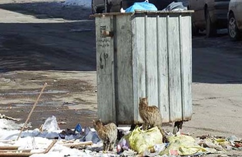 بوی تعفن شیرابه محله را برداشته