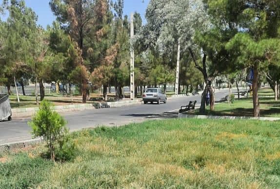 حل ناخوش فضای سبز ارم