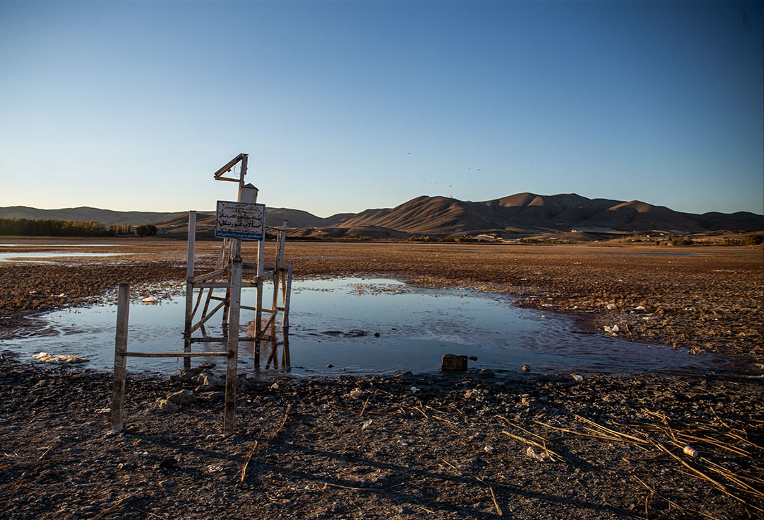 قوری گل رمق‌های آخر را می‌زند