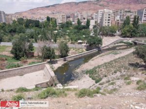 متروکه ای بین دو پارک / باغ میوه نخواستیم؛ نخاله ها را جمع کنید!