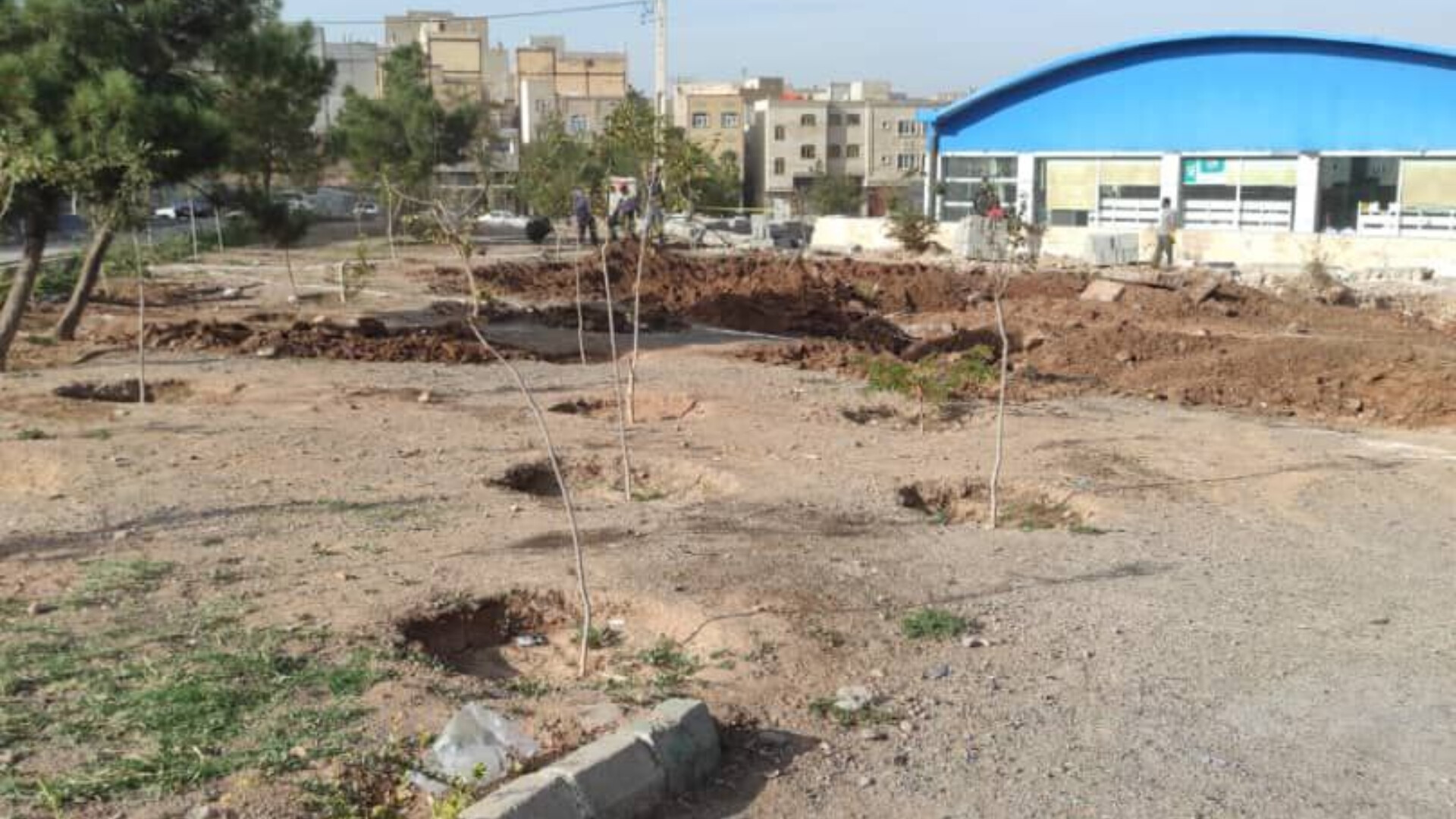 کَندن درختان در پل ارم