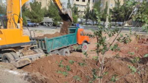 درختان در پل ارم قطع نشدند، بلکه جابجا شدند