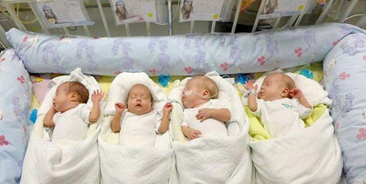 تولد ۲۹ هزار چند قلو در سال ۱۴۰۲