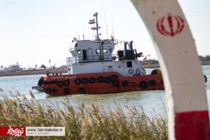 سرزمین نخل‌های بی سرِ «اروند کنار»