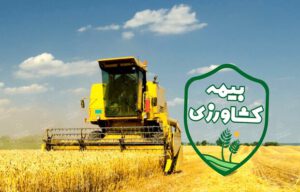 صندوق بیمه اجتماعی برای روستاییان۱۸ تا۵۰ سال یارانه پرداخت می‌کند
