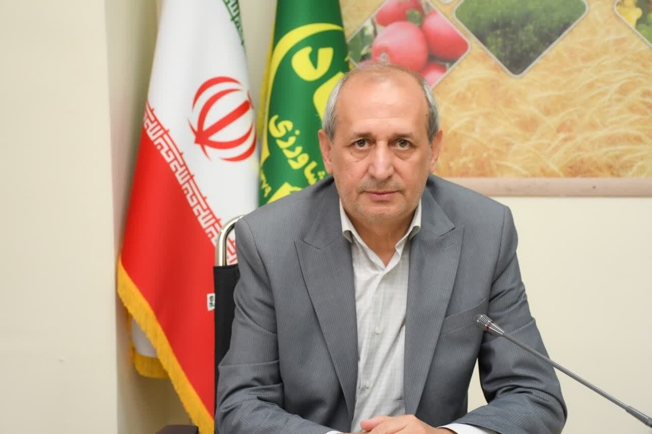 تولید مازاد سیب‌زمینی در آذربایجان شرقی