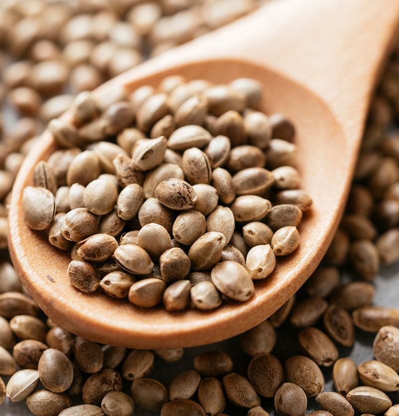 تاثیر تمرینات HIIT و دانه شاهدانه بر سطح تستوسترون و ترکیب بدنی مردان کم تحرک