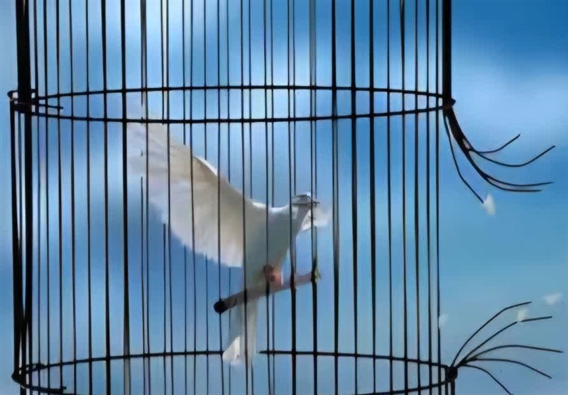 آزادی ۴۲۶ زندانی غیرعمد در ۹ ماهه امسال در  آذربایجان‌شرقی