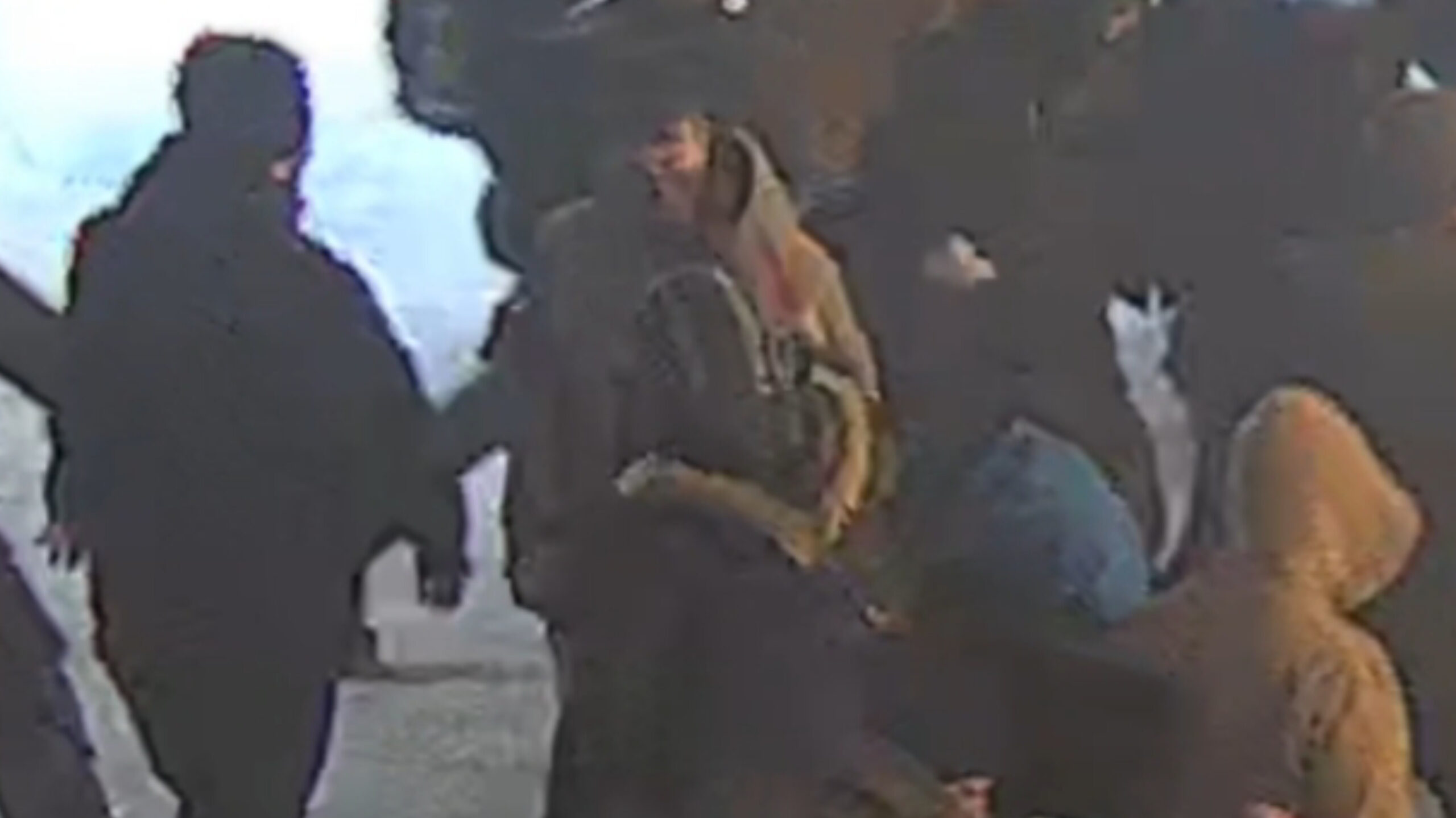 فیلم: هجوم آشوبگران به مردم و حافظان امنیت