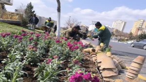 کاشت ۹ میلیون نشا گل در قالب طرح استقبال از بهار در فضاهای سبز تبریز
