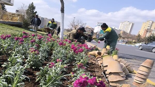 کاشت ۹ میلیون نشا گل در قالب طرح استقبال از بهار در فضاهای سبز تبریز