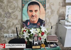 کوچه نسیم به «شهید نجفیان» تغییر نام یافت